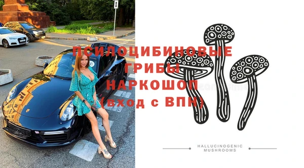 apvp Верхний Тагил